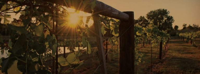 FacebookCover2 768x284