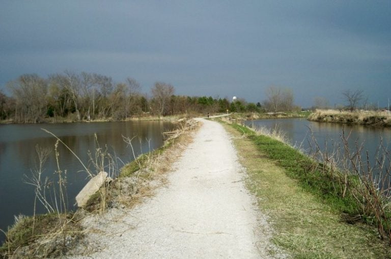 trail trail