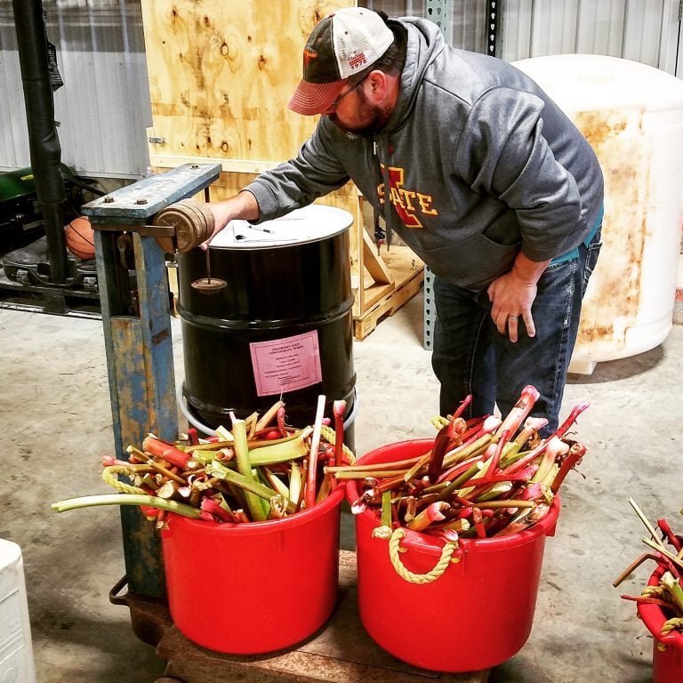 weighingrhubarb2017 768x768