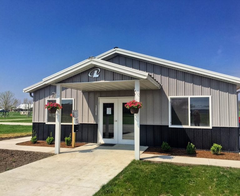 new building 2019 768x626