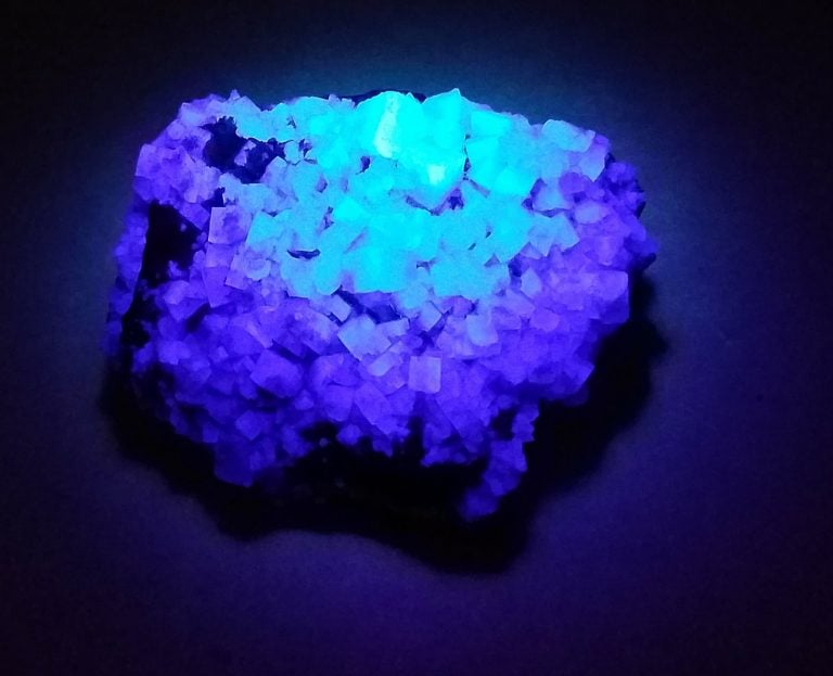 received 10211614305616725 768x623