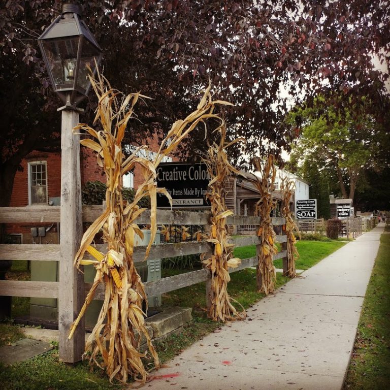 IMG 20180917 144016 022 768x768