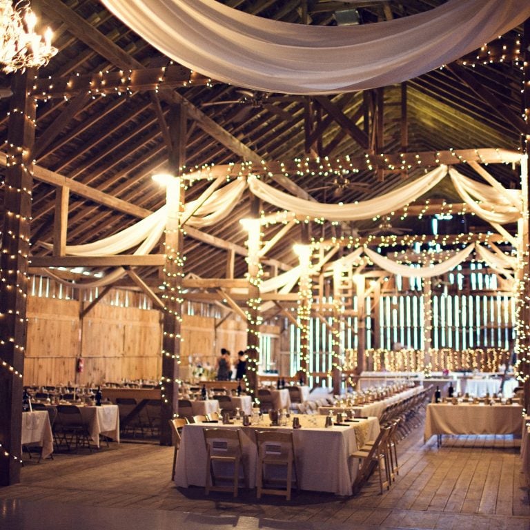 Laura Adam 11 2725x2725 1 768x768