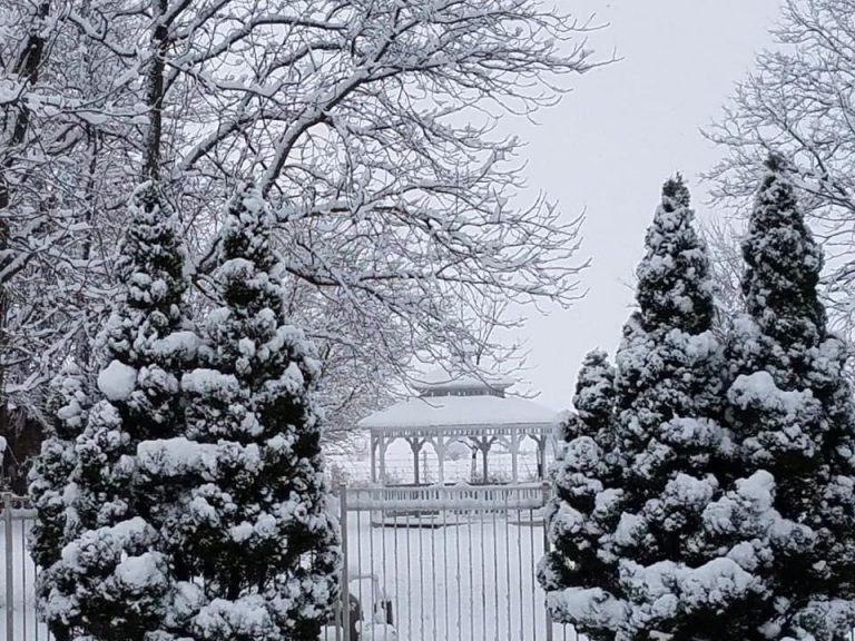 15883EC0 1C13 4EB1 B17B 970A2CDAF09F 768x576