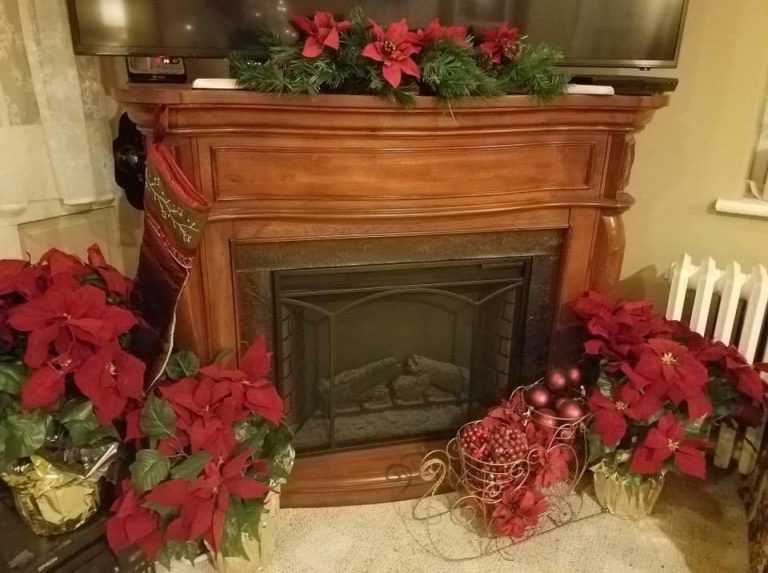 201623C8 820B 431E A59B 77795BC1D9BC 768x573