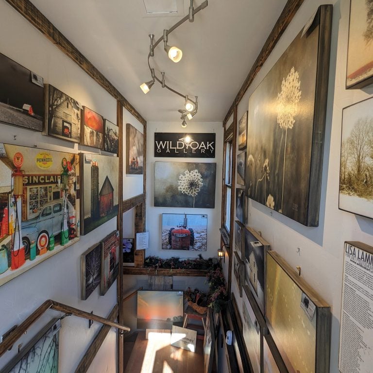 Pic 2 VB 2024 copy 768x768