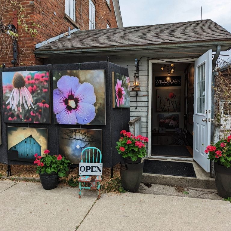 Storefront Sp 24 copy 768x768